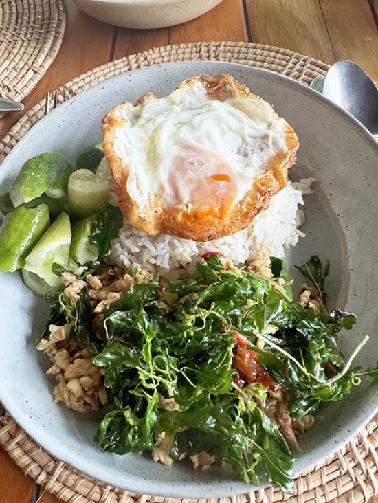 Pad Kra Pao with eggPad Kra Pao with egg