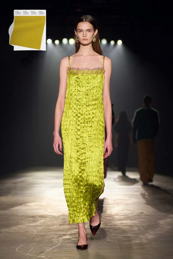 Golden Palm at Jason Wu Collection fountainof30