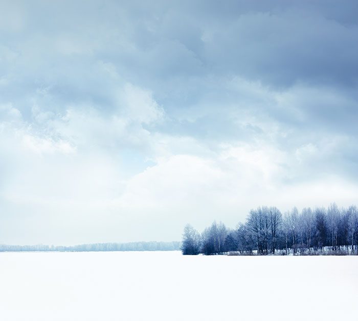 winter sky snowscape