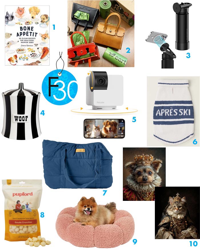 holiday gifts for pets fountainof30