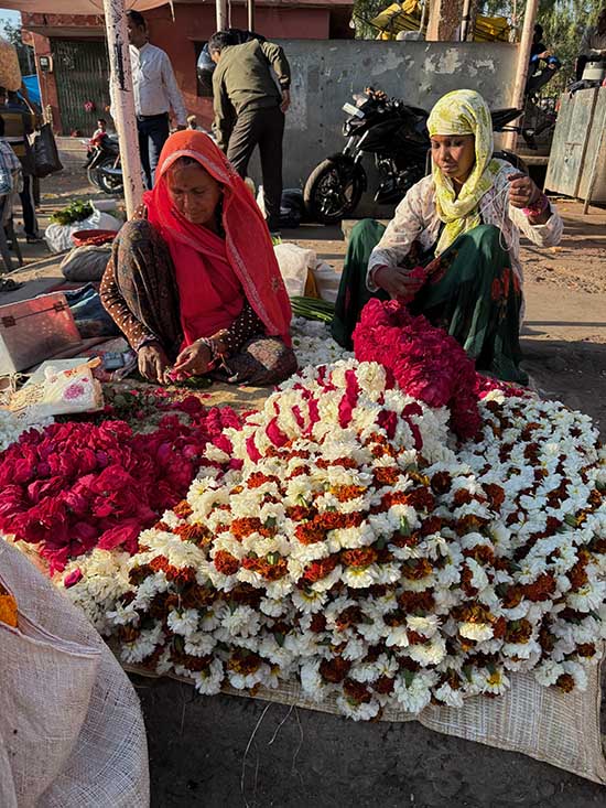Rajasthan travel guide fllower market