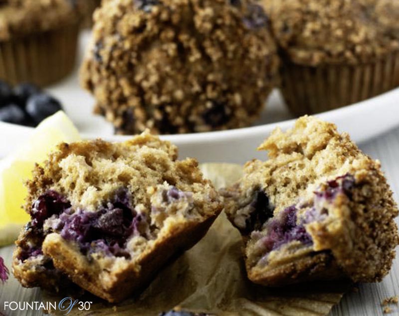 blueberry cottage cheese muffins fountainof30
