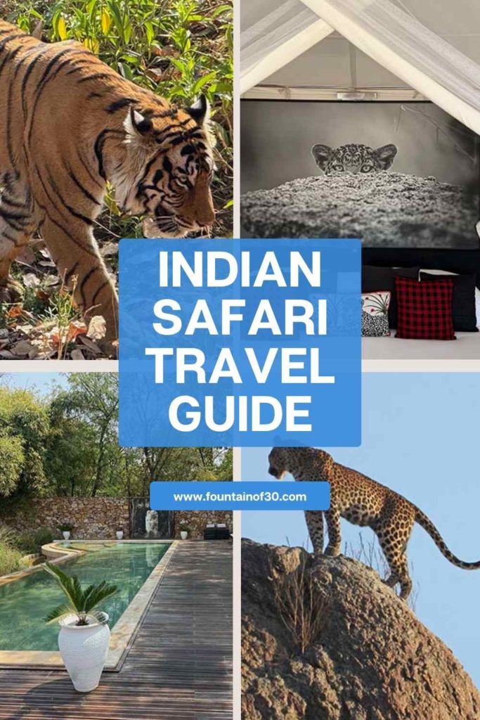India safari travel guide fountainof30