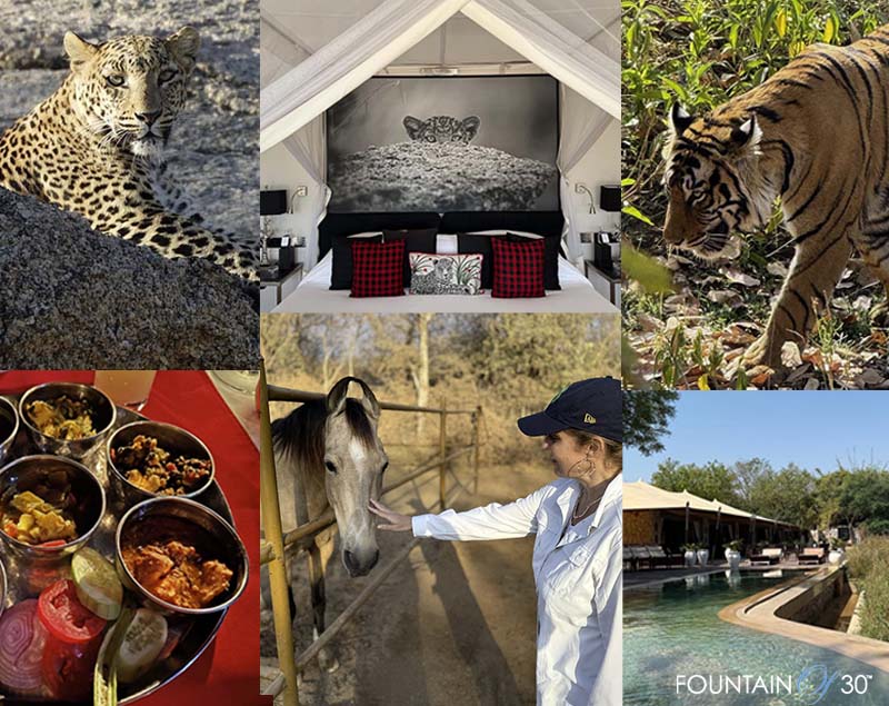 india safari travel Jawai and Ranthambore fountainof30