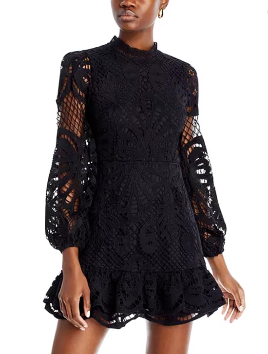 tadashi shoji textured lace dress Tadashi Shoji Women's Burgess Embroidered Lace Dress