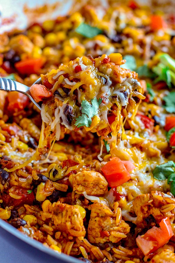 Top with chopped tomatoes and cilantro.