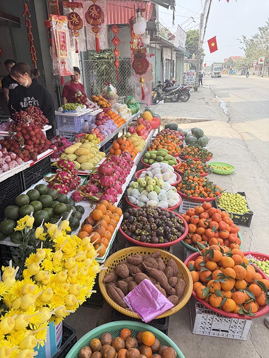 Roadside fruit stand outside of Hanoi