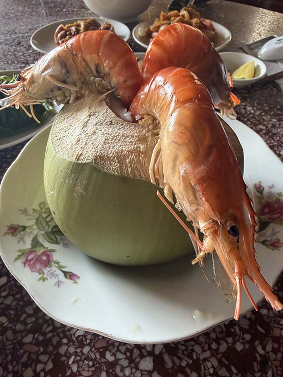 Mekong Delta Prawns